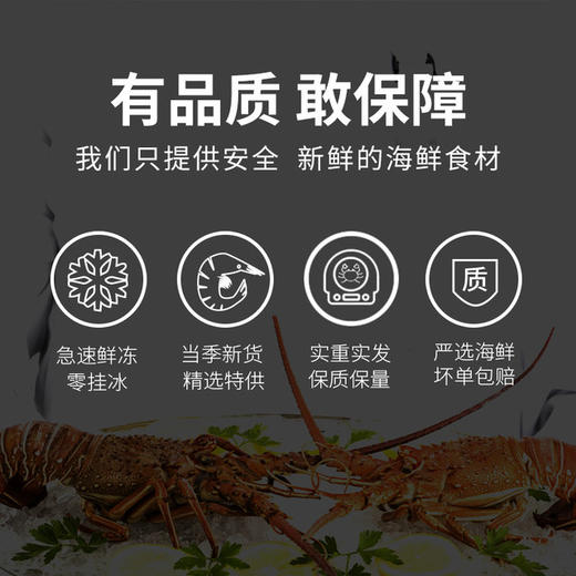 环球海鲜礼券 商品图2
