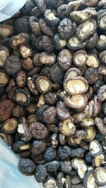 香菇  山珍南北干货