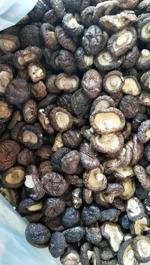 香菇  山珍南北干货 商品图0