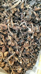 榛蘑 山珍 南北干货