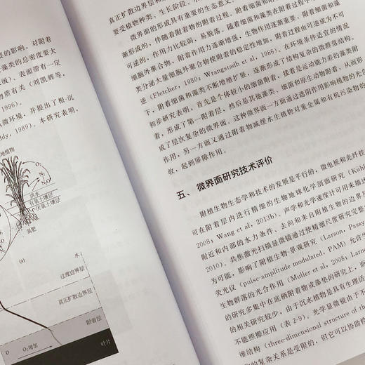 淡水附植生物的组成结构特征及其生态功能 商品图4