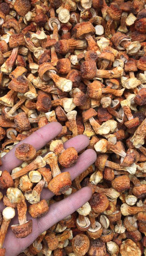 松茸 山珍 南北干货