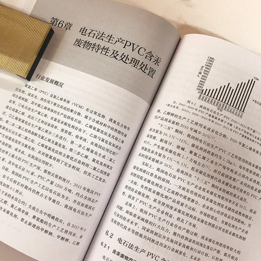 含汞废弃物特性分析与处理处置 商品图3