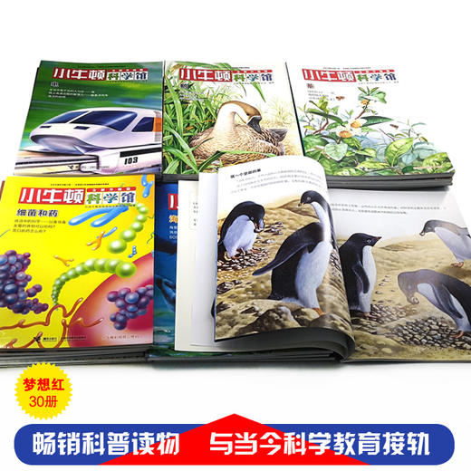 小牛顿科学馆（全新升级版）30册梦想红 台湾出版金鼎奖 科普百科大全 5-12岁儿童课外知识拓展阅读 商品图4