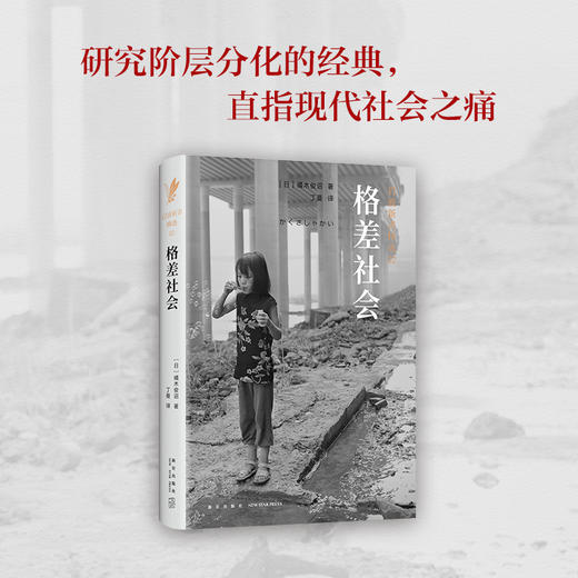 岩波新书精选02·格差社会 商品图1