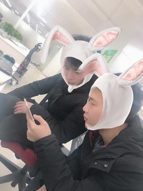两只小兔纸