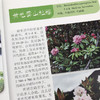认识中国植物丛书 商品缩略图2