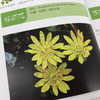 认识中国植物丛书 商品缩略图3