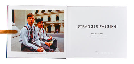 Joel Sternfeld: Stranger Passing 乔·斯坦菲尔德：过路陌生人 商品图2