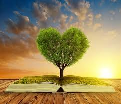 dw预售商品 商品图0