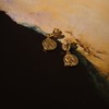 Golden Coins Earpieces 商品缩略图1