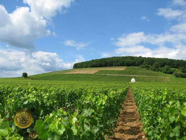 美人鱼上梅多克干红葡萄酒2015 le haut medoc de giscours