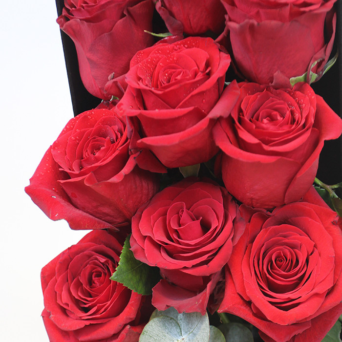 本作品由九支来厄瓜多尔进口的自由女神玫瑰,和红色的千代兰组成.