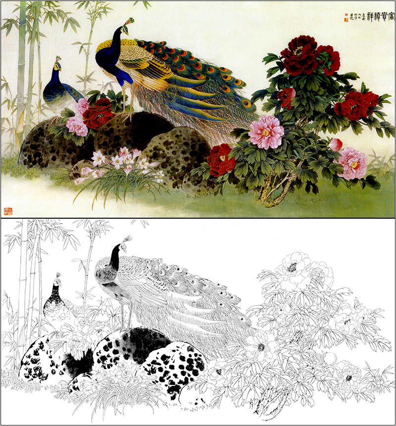 hf109工笔画白描底稿孔雀牡丹白描稿国画花鸟画临摹稿