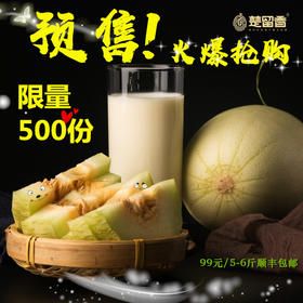 楚留香酸奶瓜5-6斤 全新口味 酸甜多汁 酸奶味蜜瓜