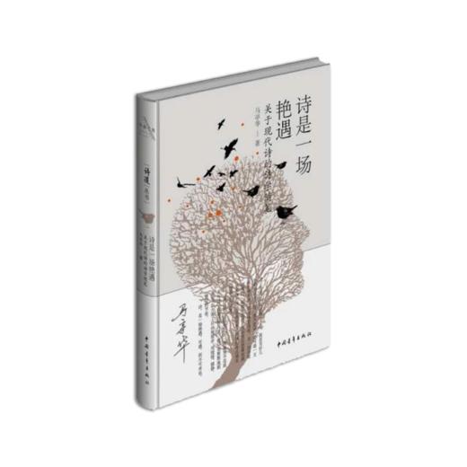 《诗是一场艳遇》马亭华著 商品图0