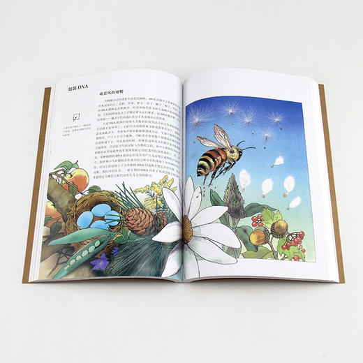 生命的运作方式  人文社科 商品图2