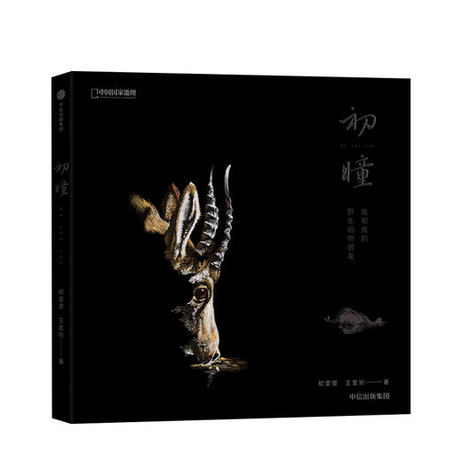 初瞳  我和我的野生动物朋友 初雯雯 王昱珩 中信出版社图书 正版书籍 商品图2
