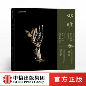 初瞳  我和我的野生动物朋友 初雯雯 王昱珩 中信出版社图书 正版书籍
