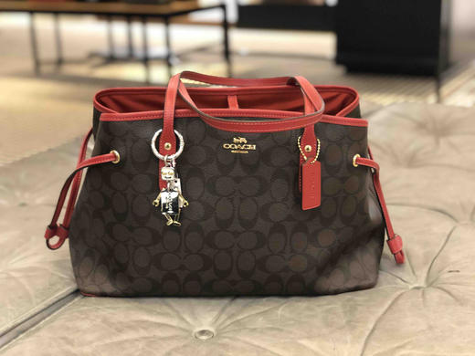 降价！coach 大号鲶鱼包老花色全 商品图1