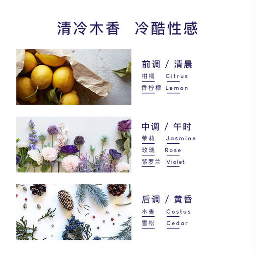 【会员兑换】PWU朴物大美无硅清爽洗发水雪松香500ml 商品图2