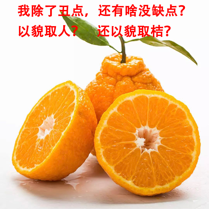 5元/3斤】春见不知火多丑橘粑粑柑