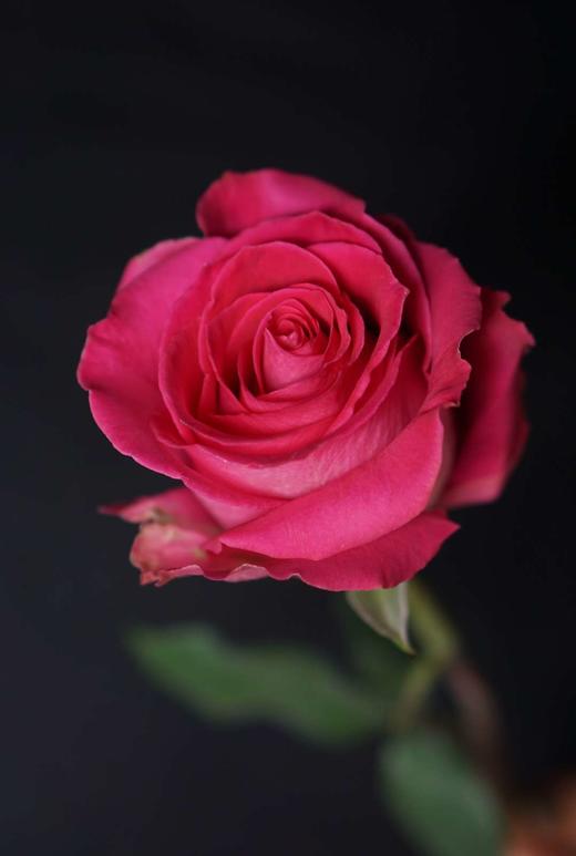 阿莫西林 商品图0