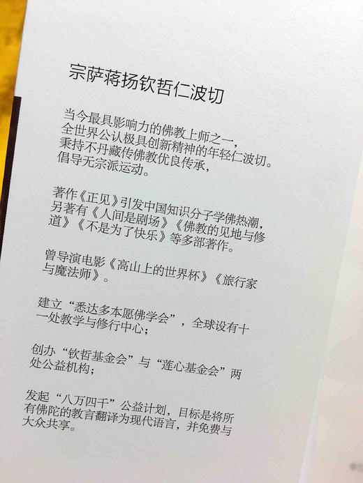 八万四千问 宗萨蒋扬钦哲仁波切 佛学入门初学者藏传佛教正版书籍 8万4千问哲学宗萨仁波切的书 商品图5