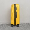 点此购买   运费德邦到付 意大利Crash baggage行李箱 豆 商品缩略图5