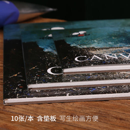 中盛画材油画布本油画纸本油画布丙烯本初学练习油画纸本油画颜料 商品图2