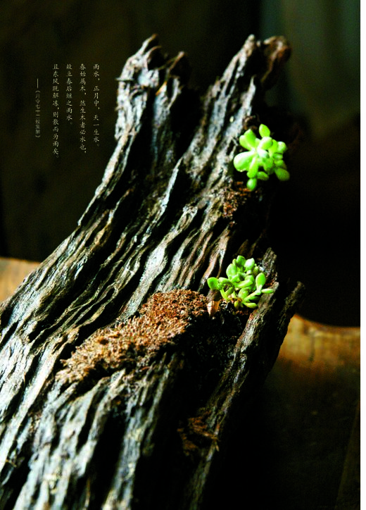 《吃茶一水间》:全国十大茶席设计师之一王迎新最畅销书籍 商品图6