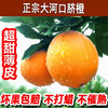 【黔货出山】【电商助农】毕节特产 中华名果大河口脐橙甜橙 现摘现发新鲜 5斤装 全国包邮 商品缩略图0