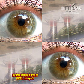 Attilens 金粉小巧环【硅水凝胶】