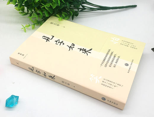 见字如来 张大春著 文学 商品图2