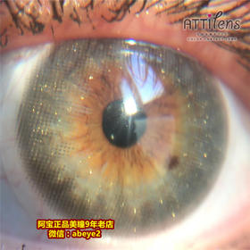 Attilens 金粉小蓝环【硅水凝胶】