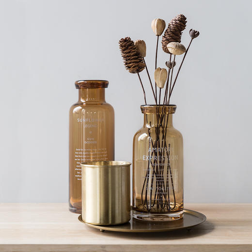 述物原创 花瓶玻璃透明北欧简约干花花瓶摆件客厅插花小清新现代 商品图2