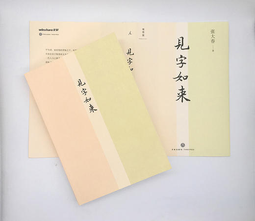 见字如来 张大春著 文学 商品图4
