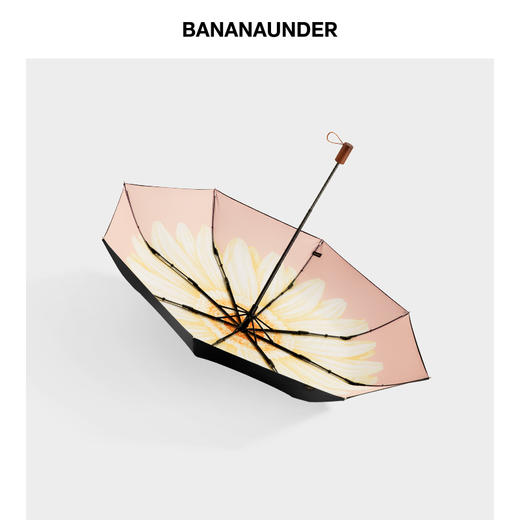 【19年新品】BANANAUNDER蕉下Black系列防晒伞防水超轻折叠晴雨伞 云笙/丹姬/曲粉/茉白/黛霞/浅梦 商品图1