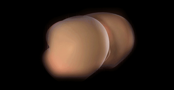 桃阁3d智能电臀