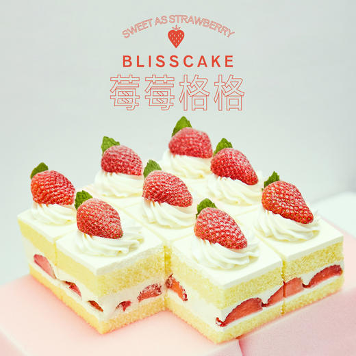 【老带新2人团-49.9元】莓莓格格（共9块）幸福下午茶（高州DX） 商品图0