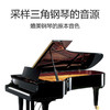 特伦斯 手卷钢琴PB88 商品缩略图7