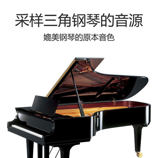 特伦斯 手卷钢琴PB88 商品图7