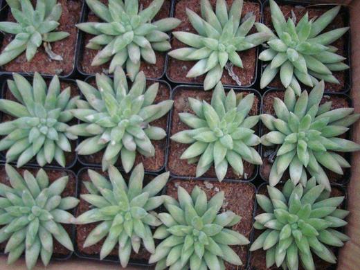 积分商城测试 商品图0