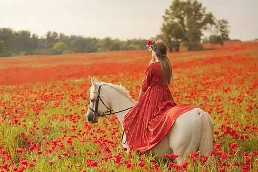 小地球旅行定制服务费 商品图0