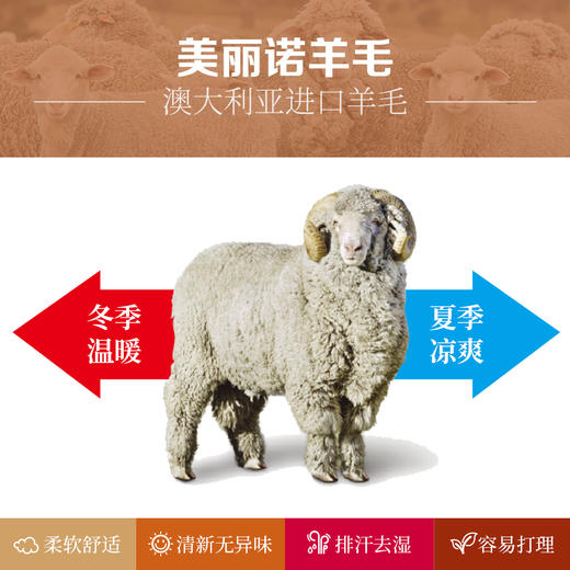 ZEALWOOD赛乐THULE极北之地 美丽诺羊毛运动袜户外袜速干加厚防臭功能袜 商品图2