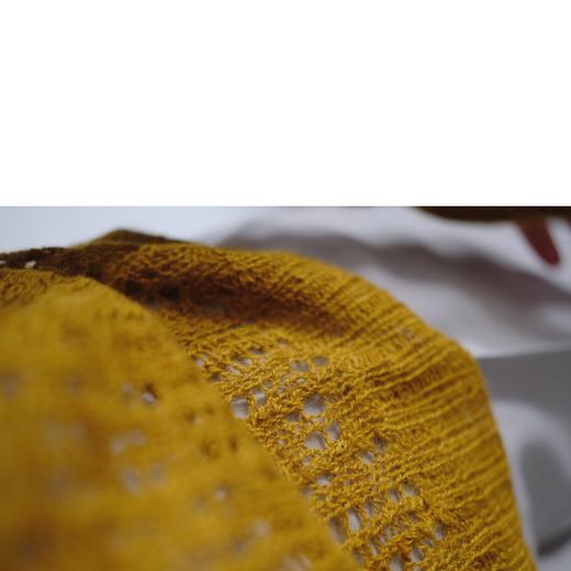 Lacy croped sweater 商品图4