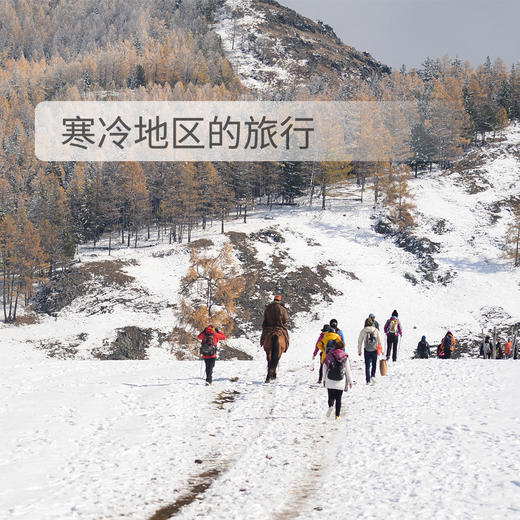 ZEALWOOD赛乐THULE极北之地 美丽诺羊毛运动袜户外袜速干加厚防臭功能袜 商品图6
