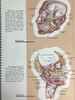人体解剖图集 详细的彩色解剖图示 仿皮装大16开 商品缩略图12