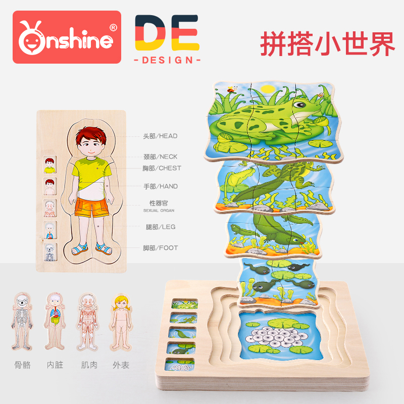 人体器官拼图儿童身体多层立体拼图木质人体认知拼图拼板3-6岁