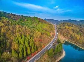 （永久下架）2019我为汽车种棵树 千岛湖站（3月9日）